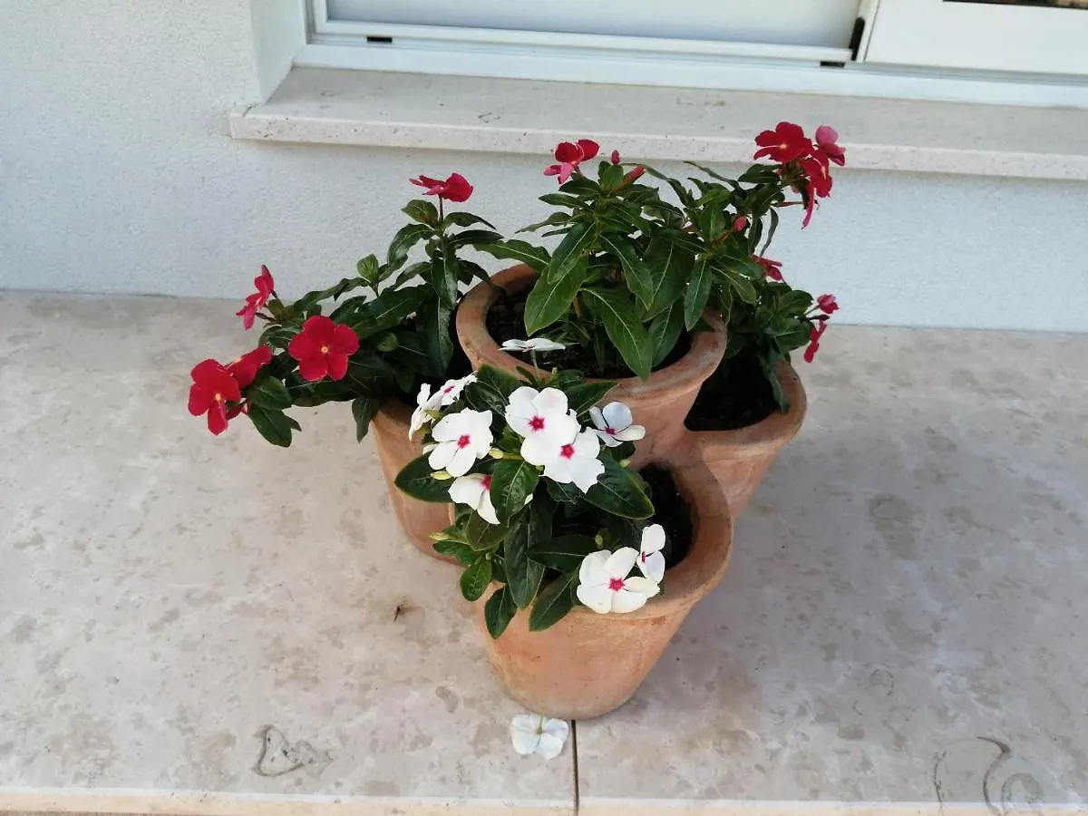 Apartment Belici Brseč