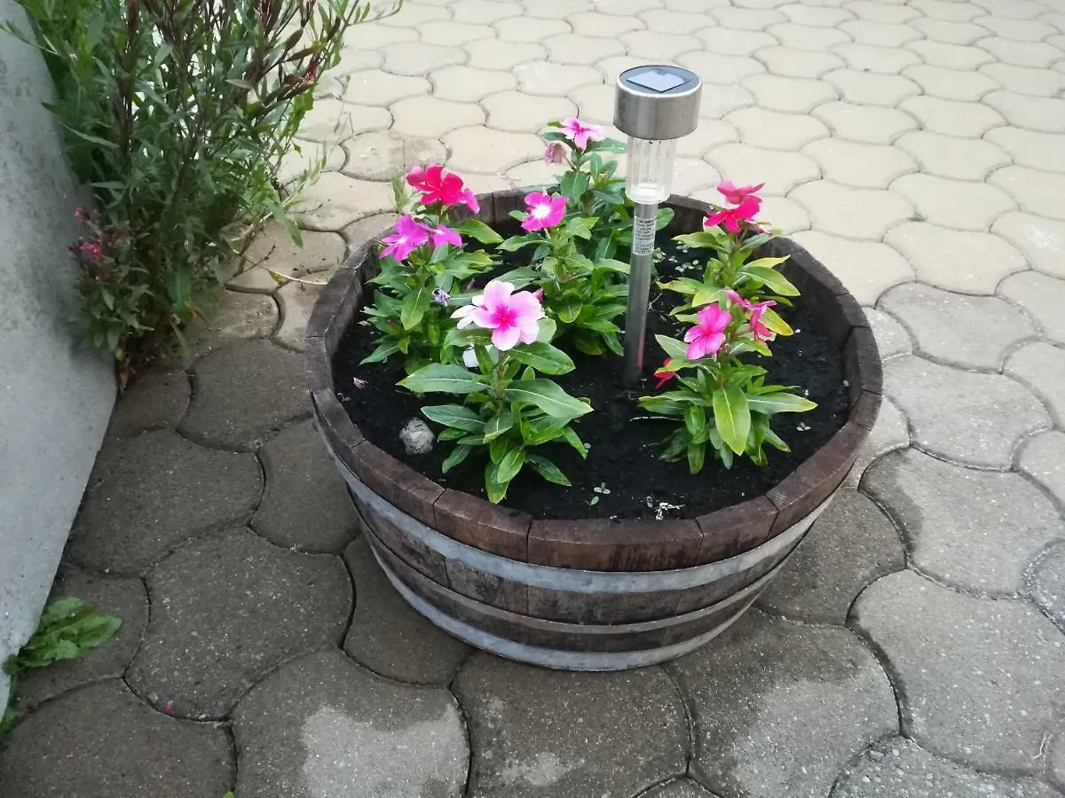 Apartment Belici Brseč
